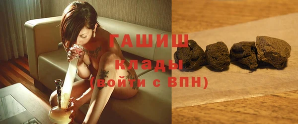 Альфа ПВП Бородино