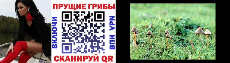 Галлюциногенные грибы мухоморы  Валуйки 